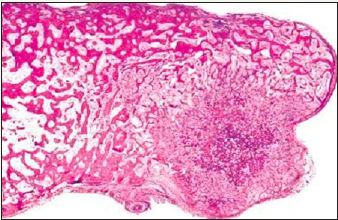 Click here to view Large image 2