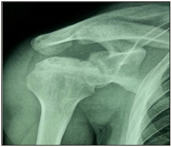 Click here to view Large image 3