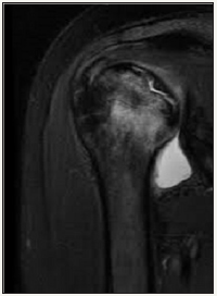 Click here to view Large image 4