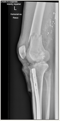 Click here to view Large image 2