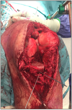 Click here to view Large image 3