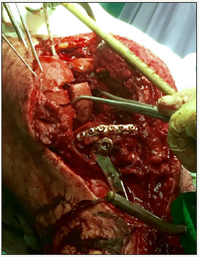 Click here to view Large image 5