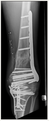 Click here to view Large image 6