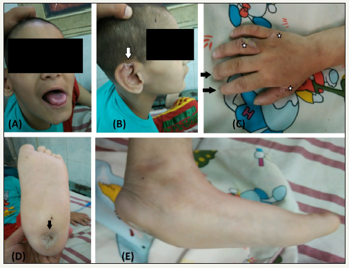 Click here to view Large image 1