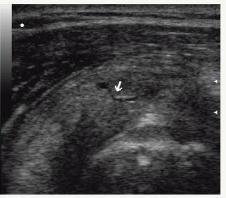 Click here to view Large image 1
