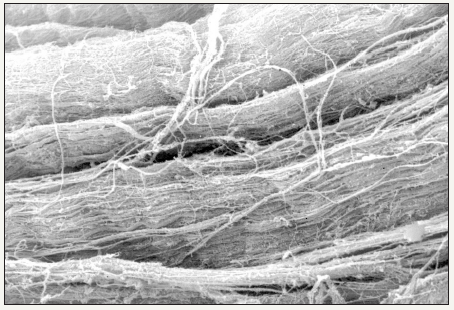 Click here to view Large image 1