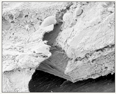 Click here to view Large image 4