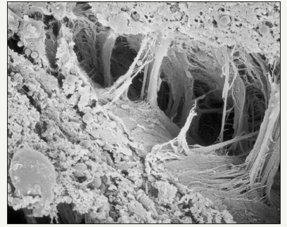 Click here to view Large image 5