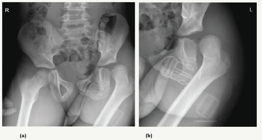 Click here to view Large image 1