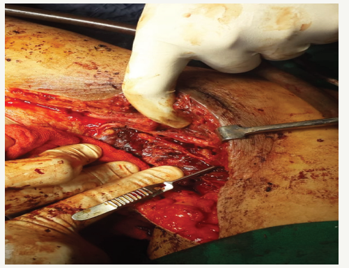 Click here to view Large image 2