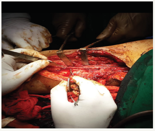 Click here to view Large image 3