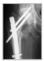 Click here to view Large image 12