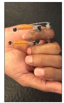 Click here to view Large image 1