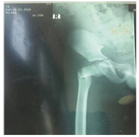 Click here to view Large image 5