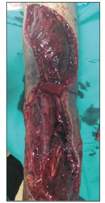 Click here to view Large image 2