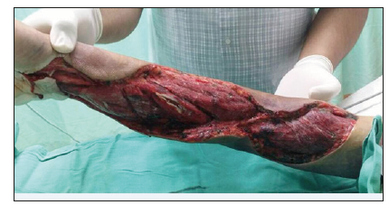 Click here to view Large image 3