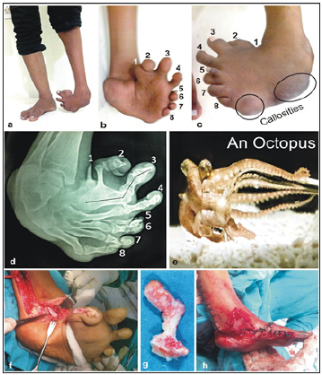 Click here to view Large image 1