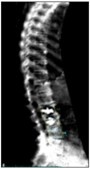 Click here to view Large image 13