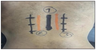 Click here to view Large image 1