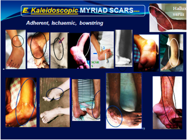 Click here to view Large image 3