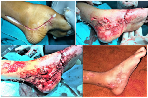 Click here to view Large image 6