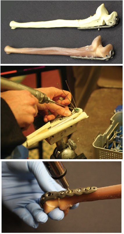 Click here to view Large image 5