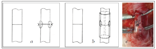 Click here to view Large image 1