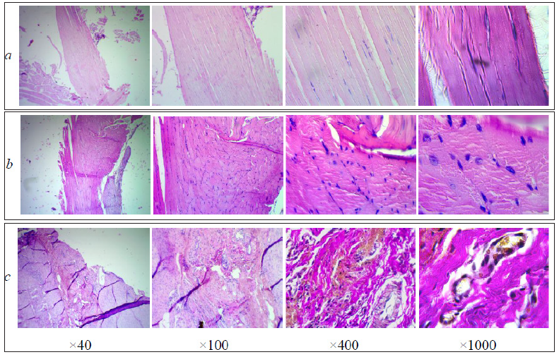 Click here to view Large image 2