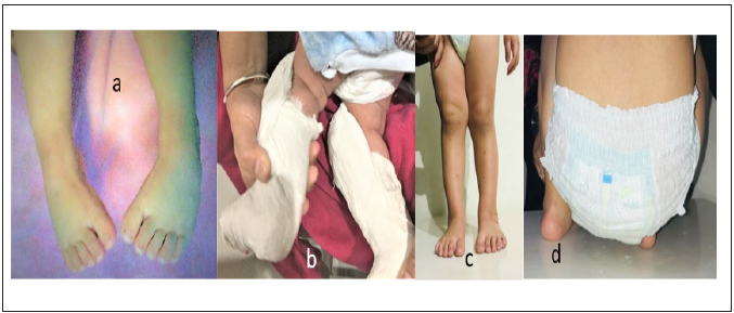 Click here to view Large image 4