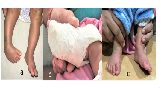 Click here to view Large image 5