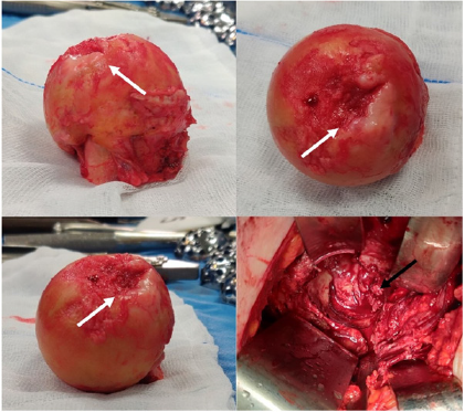 Click here to view Large image 4