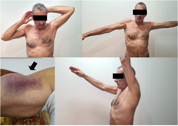 Click here to view Large image 8