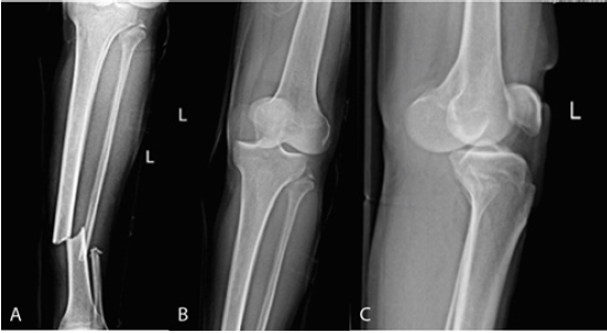 Click here to view Large image 1