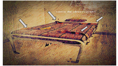 Click here to view Large image 6