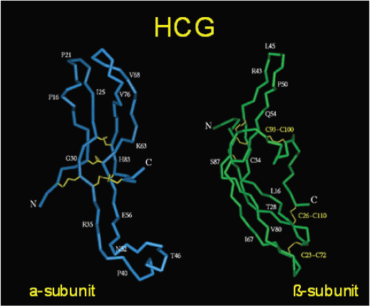 Click here to view Large Figure 1