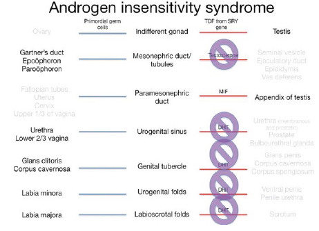 Click here to view Large Figure 11