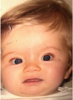 Click here to view Large Figure 1