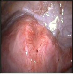 Click here to view Large image 1