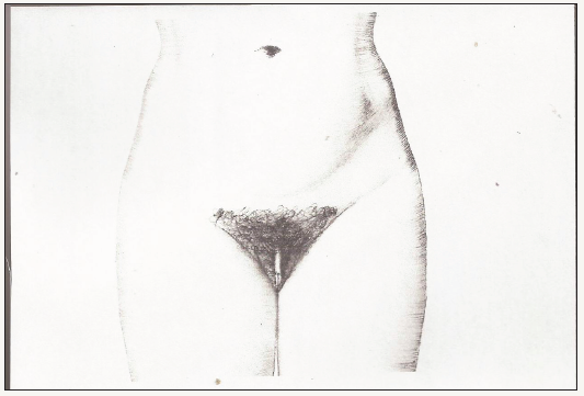 Click here to view Large image 1