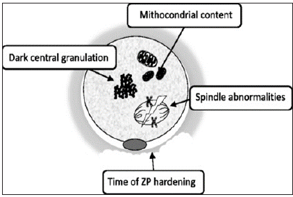 Click here to view Large image 1