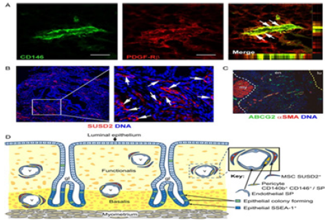 Click here to view Large image 1