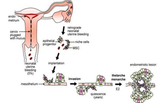 Click here to view Large image 2