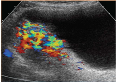 Click here to view Large image 2