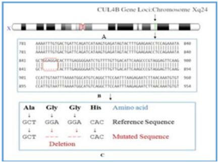 Click here to view Large image 1
