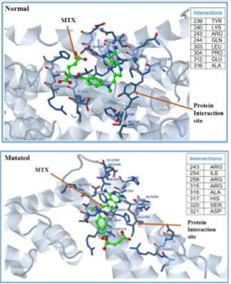 Click here to view Large image 3