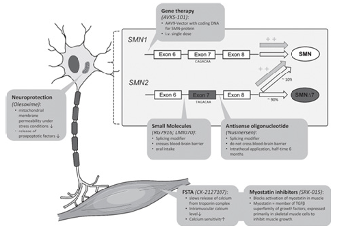 Click here to view Large image 2