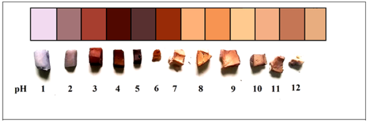 Click here to view Large image 9