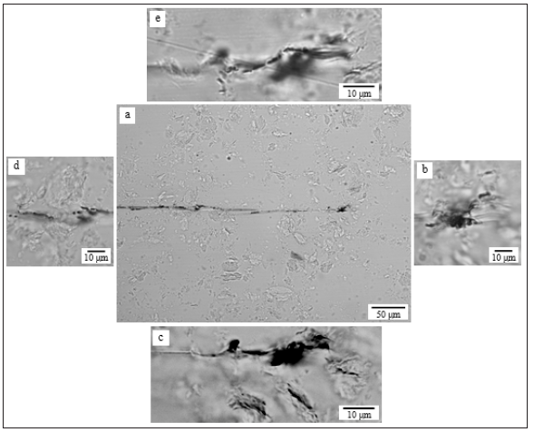 Click here to view Large image 4