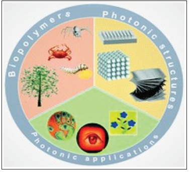 Click here to view Large image 1