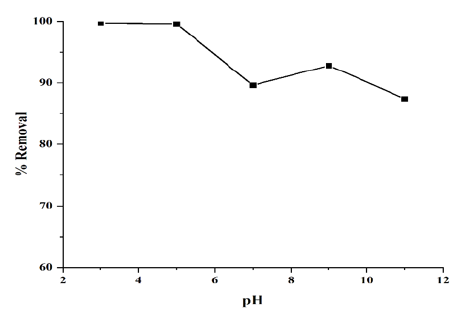 Click here to view Large image 6